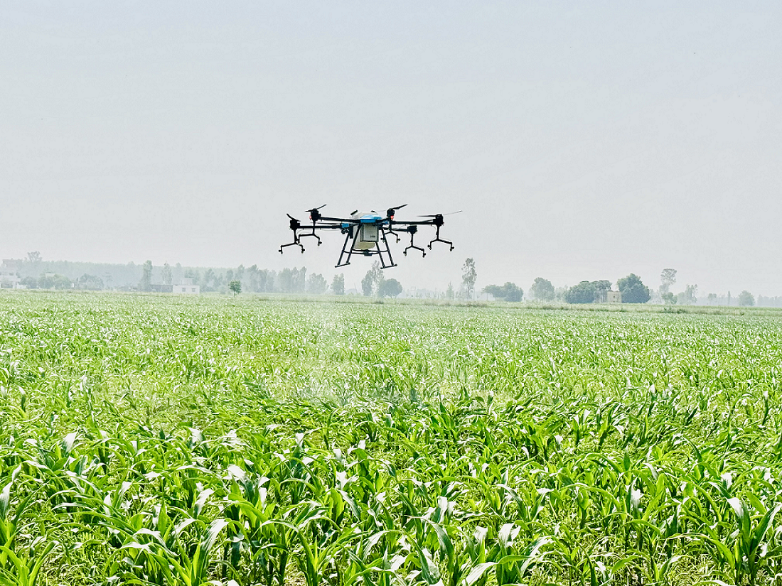 Drone in Field